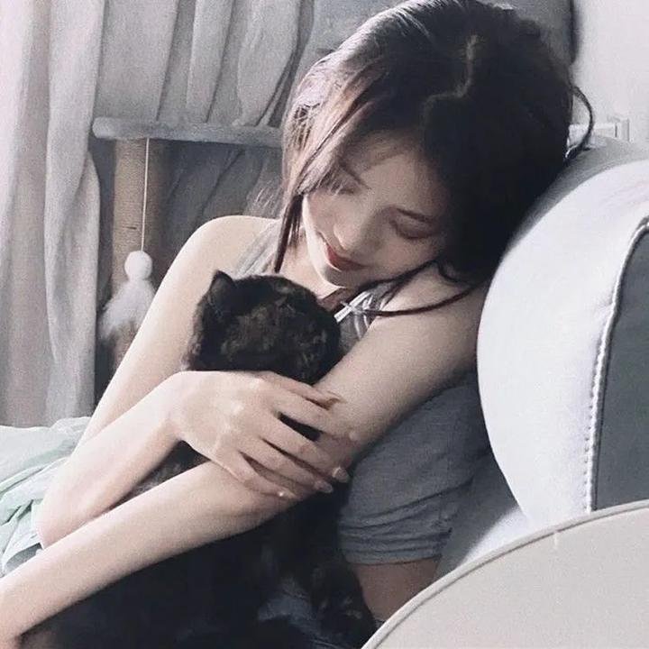 动画片